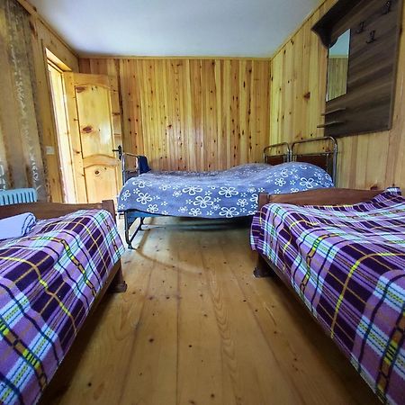 Adishi Guest House Zhora Kaldani Экстерьер фото